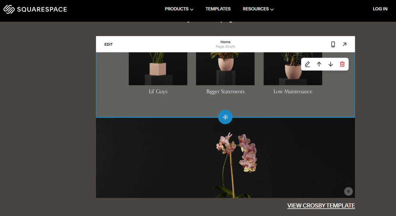 The Best Photographer Website Builder In 2024
