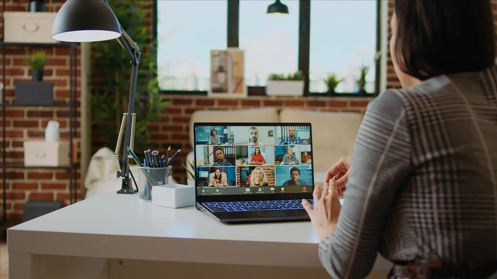 Virtual meeting software